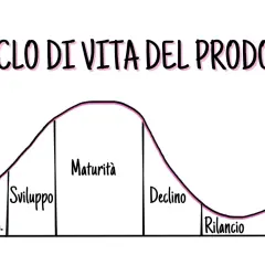 Grafico che illustra il ciclo vita prodotto: introduzione, sviluppo, maturità, declino e rilancio.