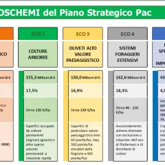 I 5 ecoschemi del Piano Strategico PAC: zootecnia, colture arboree, oliveti, foraggi estensivi e misure per impollinatori, con dati su fondi e percentuali.