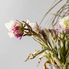 Fiori appassiti, bianchi e fucsia, con foglie secche. Un mazzo che attende il suo destino, dove si buttano i fiori.