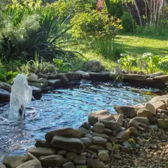 Un laghetto in giardino con fontana e rocce. Un esempio di come fare un laghetto in giardino, con piante rigogliose e un'atmosfera rilassante.
