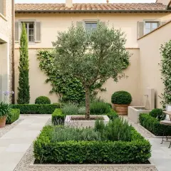 Un elegante progetto giardino 100 mq con ulivo centrale, lavanda, rosmarino, siepi curate, fontana e un piccolo tavolo.