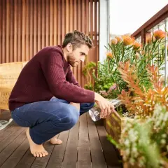 Uomo annaffia piante sul terrazzo, creando un angolo verde per privacy.