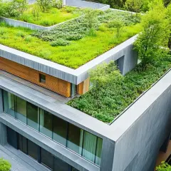 Un moderno edificio con un rigoglioso tetto verde estensivo, circondato da alberi.