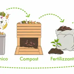 Il ciclo: cibo, organico, compost, fertilizzante, coltivazione. Trasformazione rifiuti organici in fertilizzanti per nutrire nuove piante.