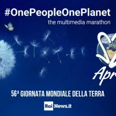 Il 22 aprile è la Giornata Mondiale della Terra. Un soffione con semi che volano, una farfalla e il logo #OnePeopleOnePlanet celebrano questo evento.