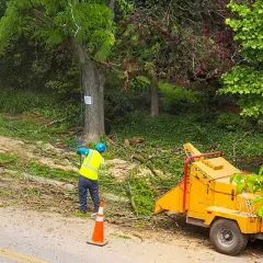 Operaio con giubbotto ad alta visibilità lavora con cippatrice gialla, gestendo sfalci e potature in un'area verde.