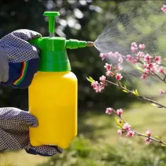 Mani guantate spruzzano un diserbante naturale fatto in casa, dimostrando che il diserbante aceto e sale funziona per prendersi cura del giardino.