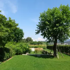 Un giardino curato con prato verde, siepi e alberi ornamentali da giardino che creano un'oasi di pace.