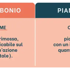 Crediti di carbonio: 1 tonnellata di CO2e rimossa, impatto quantificabile. Piantumazione: albero, impatto difficilmente quantificabile.