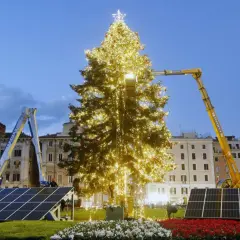 Un imponente albero di Natale illuminato, circondato da pannelli solari, simboleggia un futuro più verde per le festività.