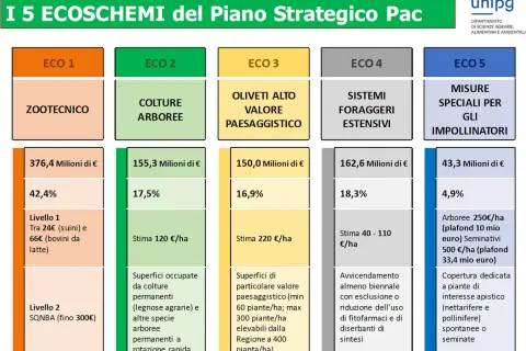 I 5 ecoschemi del Piano Strategico PAC: zootecnia, colture arboree, oliveti, foraggi estensivi e misure per impollinatori, con dati su fondi e percentuali.
