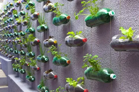 Un muro verde creato con il riciclo di bottiglie di plastica, che ospitano piccole piante e erbe aromatiche.