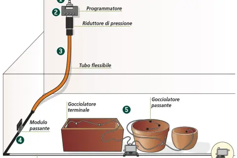 Schema di irrigazione a goccia con diversi tipi di gocciolatori: terminale e passante, collegati a programmatore e tubo in polietilene.