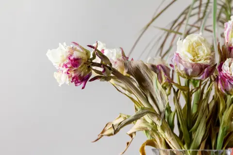 Fiori appassiti, bianchi e fucsia, con foglie secche. Un mazzo che attende il suo destino, dove si buttano i fiori.