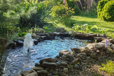 Un laghetto in giardino con fontana e rocce. Un esempio di come fare un laghetto in giardino, con piante rigogliose e un'atmosfera rilassante.
