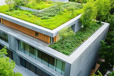 Un moderno edificio con un rigoglioso tetto verde estensivo, circondato da alberi.