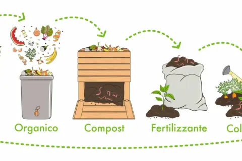 Il ciclo: cibo, organico, compost, fertilizzante, coltivazione. Trasformazione rifiuti organici in fertilizzanti per nutrire nuove piante.