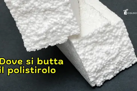 Pezzi di polistirolo bianco su sfondo scuro. La domanda "Dove si butta il polistirolo" è scritta in giallo.