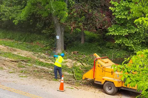 Operaio con giubbotto ad alta visibilità lavora con cippatrice gialla, gestendo sfalci e potature in un'area verde.