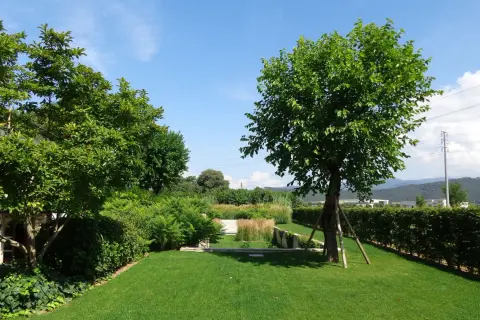 Un giardino curato con prato verde, siepi e alberi ornamentali da giardino che creano un'oasi di pace.