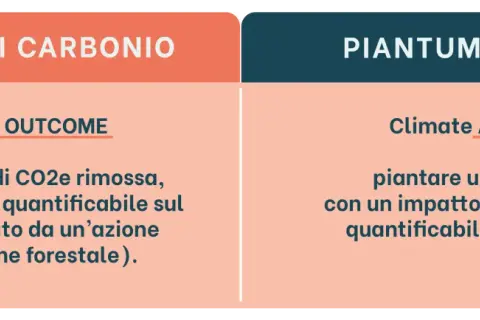 Crediti di carbonio: 1 tonnellata di CO2e rimossa, impatto quantificabile. Piantumazione: albero, impatto difficilmente quantificabile.