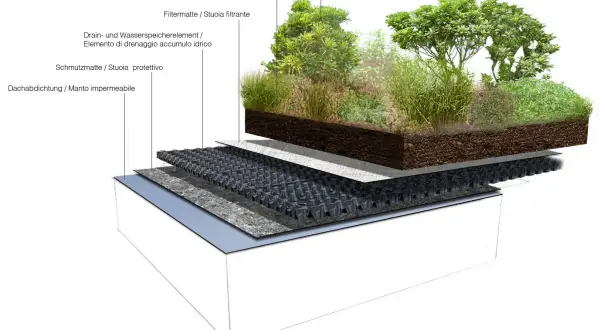 Stratigrafia di un tetto giardino: vegetazione, substrato, filtro, drenaggio, protezione e manto impermeabile.