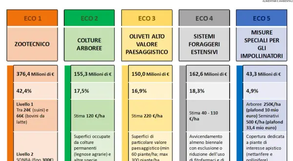 I 5 ecoschemi del Piano Strategico PAC: zootecnia, colture arboree, oliveti, foraggi estensivi e misure per impollinatori, con dati su fondi e percentuali.