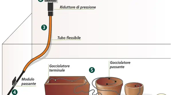 Schema di irrigazione a goccia con diversi tipi di gocciolatori: terminale e passante, collegati a programmatore e tubo in polietilene.