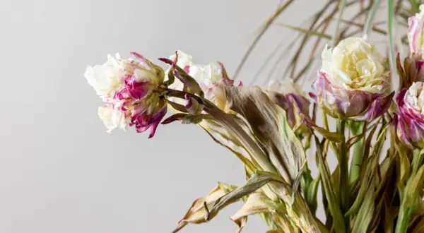 Fiori appassiti, bianchi e fucsia, con foglie secche. Un mazzo che attende il suo destino, dove si buttano i fiori.