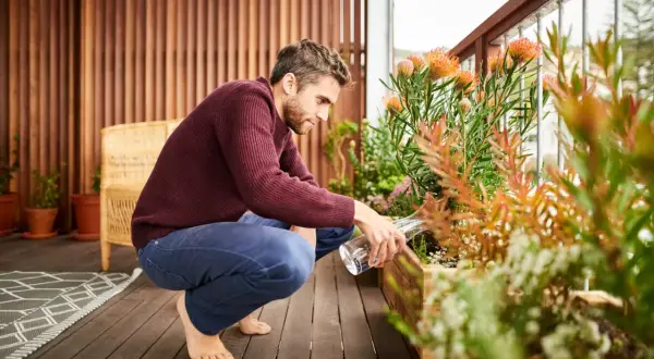 Uomo annaffia piante sul terrazzo, creando un angolo verde per privacy.