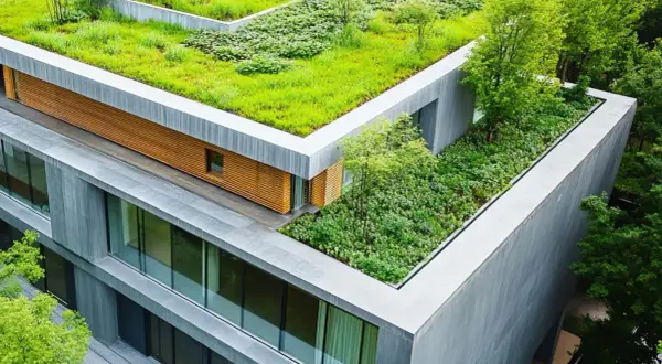 Un moderno edificio con un rigoglioso tetto verde estensivo, circondato da alberi.