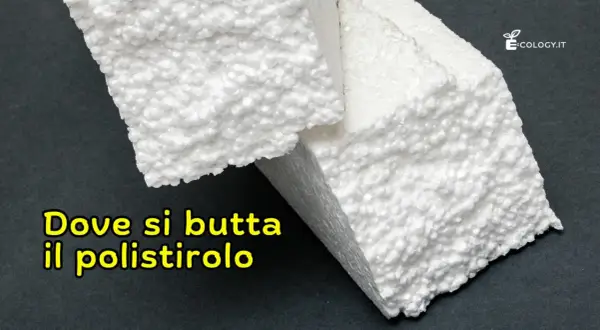 Pezzi di polistirolo bianco su sfondo scuro. La domanda "Dove si butta il polistirolo" è scritta in giallo.