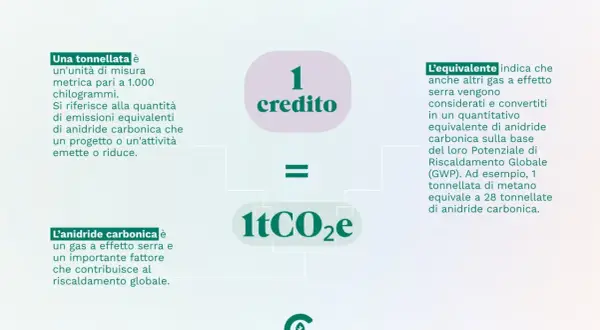 Un credito di carbonio equivale a 1 tonnellata di CO2e. Il prezzo dei crediti di carbonio riflette la riduzione delle emissioni.