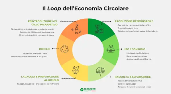 Il diagramma illustra il ciclo dell'economia circolare e sostenibilità: dalla produzione responsabile all'uso, raccolta, riciclo e reintroduzione nel ciclo produttivo.
