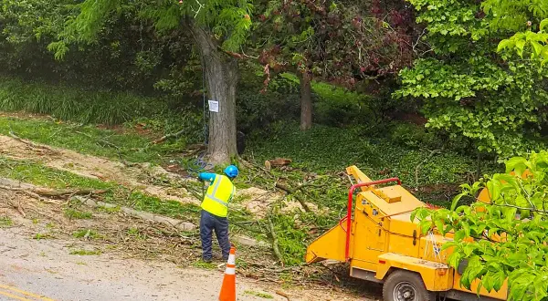 Operaio con giubbotto ad alta visibilità lavora con cippatrice gialla, gestendo sfalci e potature in un'area verde.