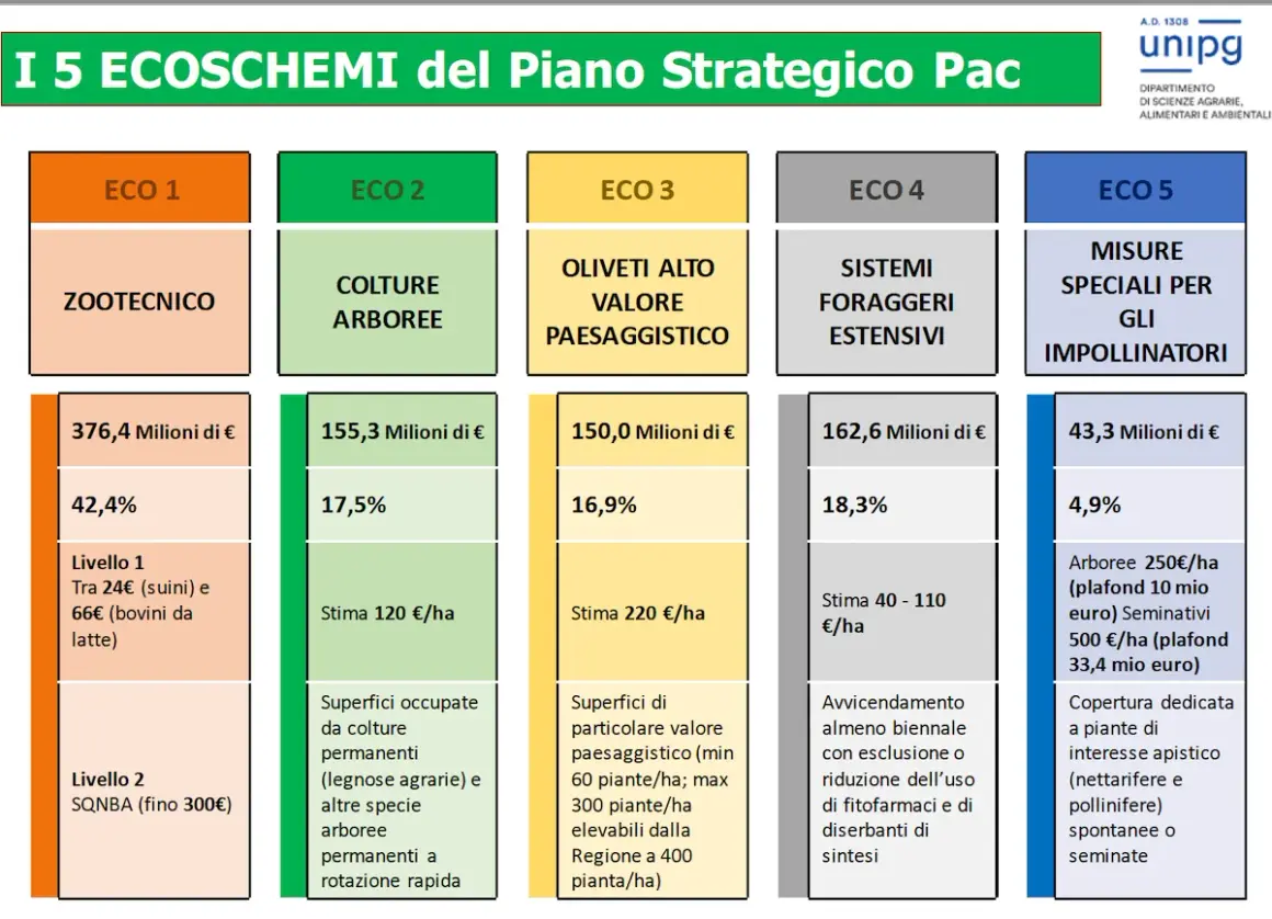 I 5 ecoschemi del Piano Strategico PAC: zootecnia, colture arboree, oliveti, foraggi estensivi e misure per impollinatori, con dati su fondi e percentuali.