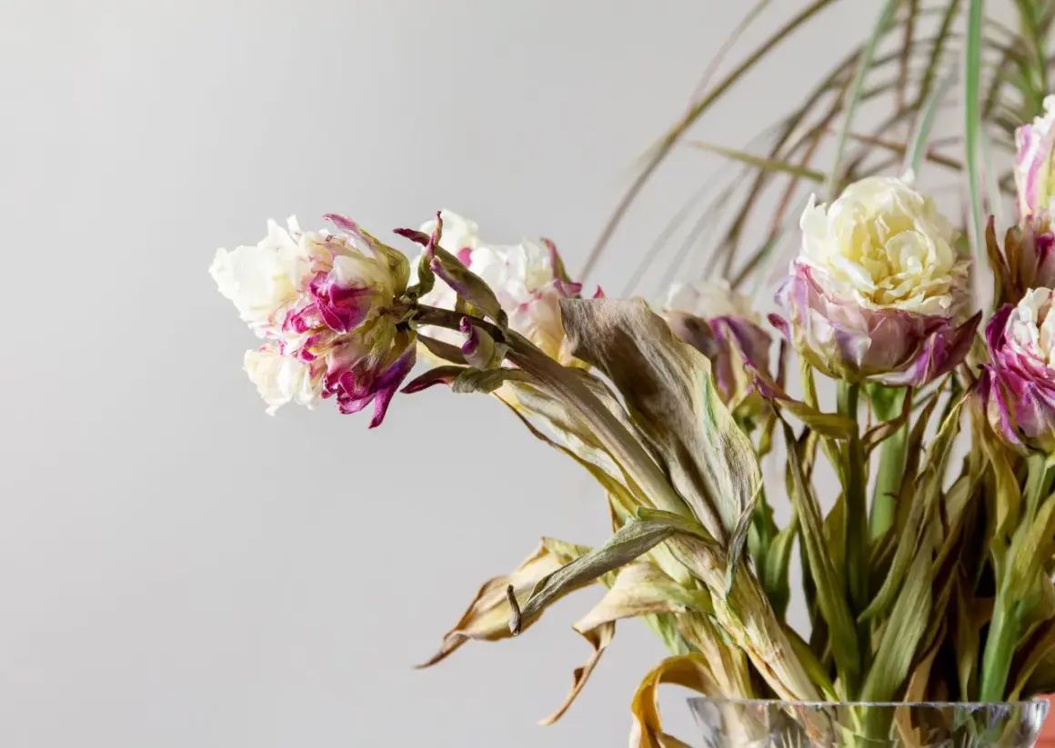 Fiori appassiti, bianchi e fucsia, con foglie secche. Un mazzo che attende il suo destino, dove si buttano i fiori.