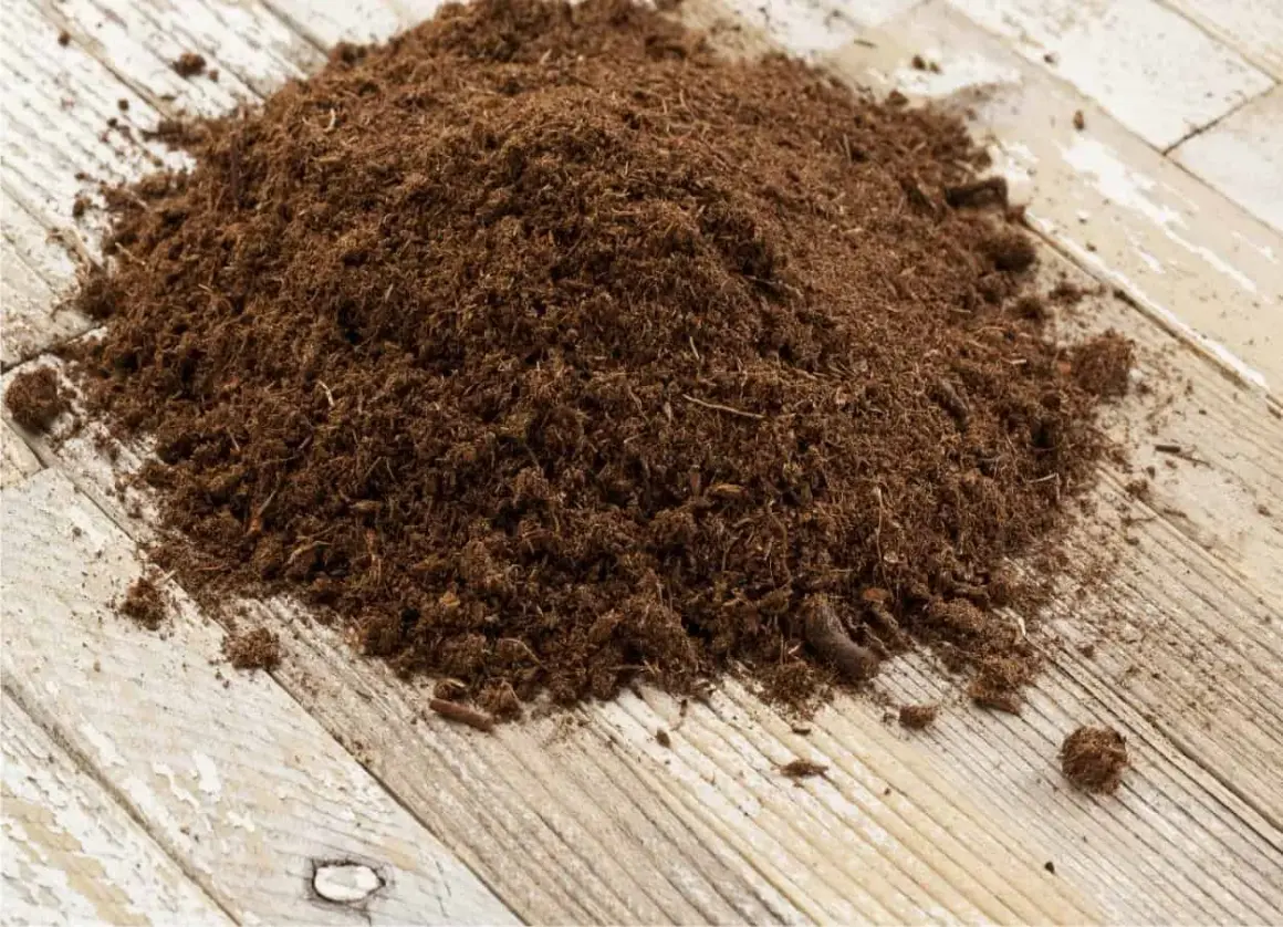 Un cumulo di torba su un tavolo di legno. La torba serve per migliorare il terreno, trattenere l'umidità e favorire la crescita delle piante.