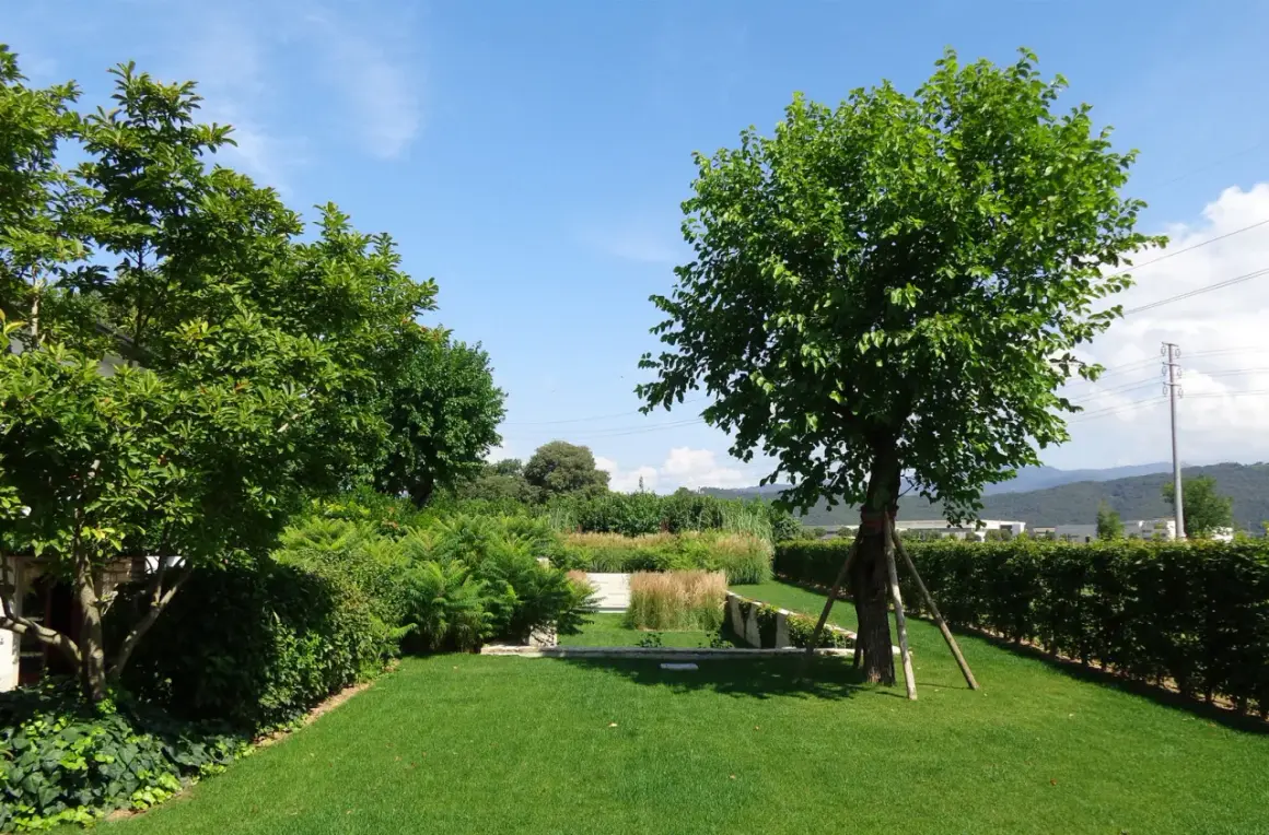 Un giardino curato con prato verde, siepi e alberi ornamentali da giardino che creano un'oasi di pace.