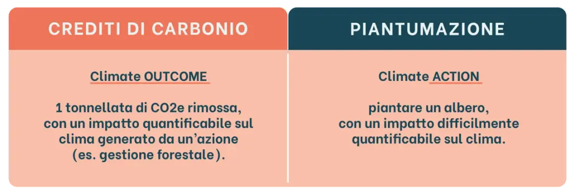 Crediti di carbonio: 1 tonnellata di CO2e rimossa, impatto quantificabile. Piantumazione: albero, impatto difficilmente quantificabile.