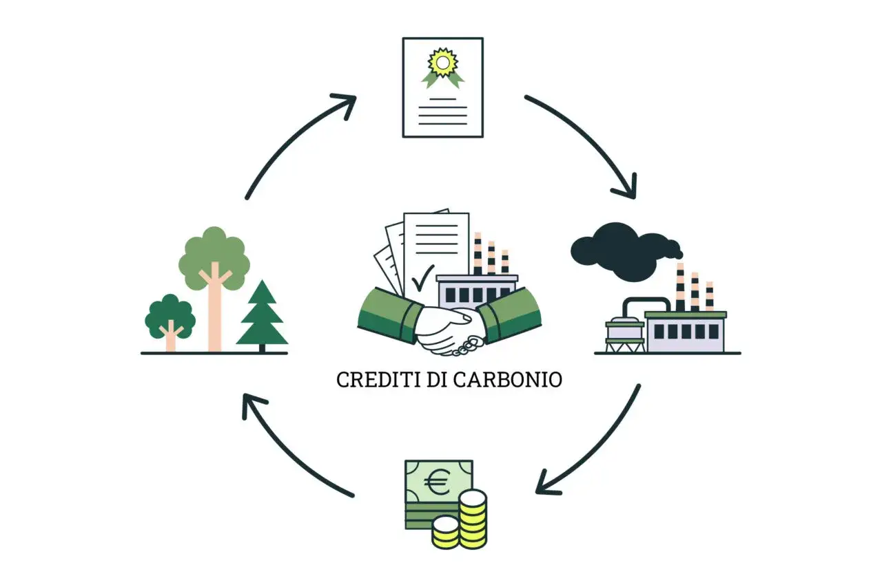 Schema che illustra cosa sono i crediti di carbonio: alberi, fabbriche inquinanti, denaro e un certificato.
