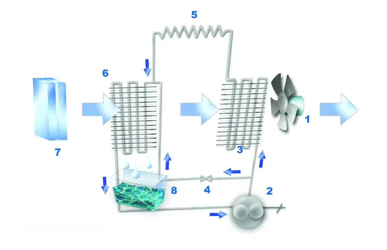 Schema di un deumidificatore: l'aria umida (7) passa attraverso una serpentina fredda (6) dove l'acqua condensa (8), poi viene riscaldata (3) e espulsa (1).