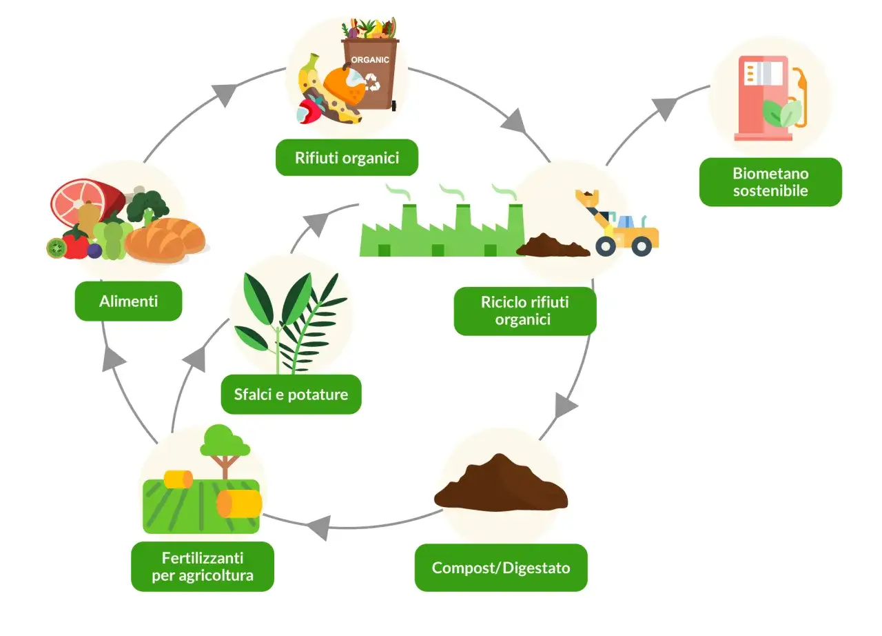 Ciclo virtuoso: alimenti e scarti vegetali diventano compost, fertilizzanti e biometano, dimostrando la trasformazione rifiuti organici in fertilizzanti.