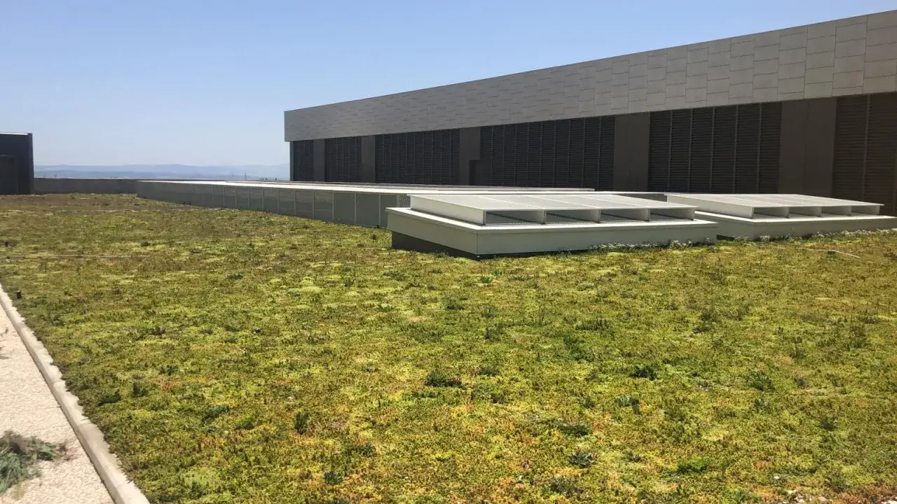 Un vasto tetto verde estensivo copre la sommità di un edificio moderno, con lucernari che emergono dalla vegetazione.