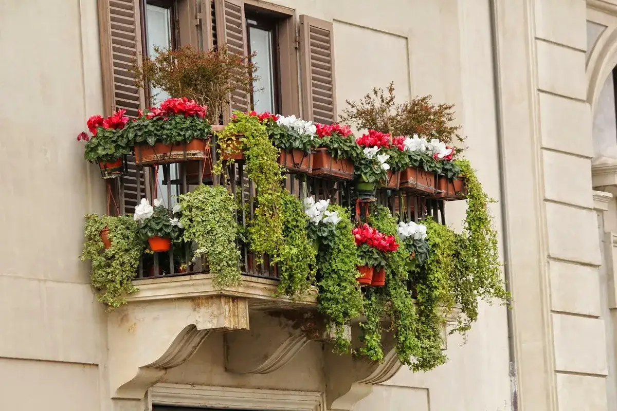 Balcone fiorito con piante da balcone perenni ricadenti, ciclamini rossi e bianchi, edera verde e arbusti.