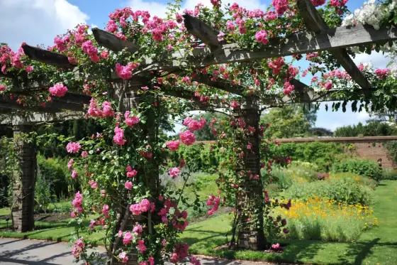 Giardino all'inglese in Italia - Guida pratica e sostenibile