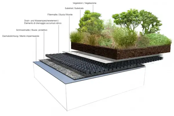 Stratigrafia di un tetto giardino: vegetazione, substrato, filtro, drenaggio, protezione e manto impermeabile.