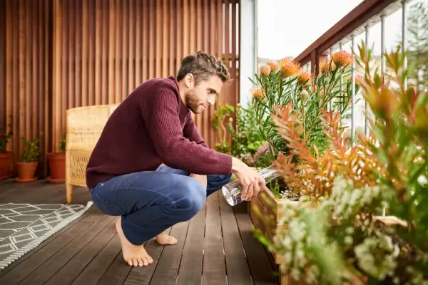 Uomo annaffia piante sul terrazzo, creando un angolo verde per privacy.