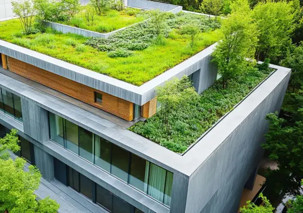 Un moderno edificio con un rigoglioso tetto verde estensivo, circondato da alberi.