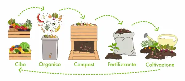 Il ciclo: cibo, organico, compost, fertilizzante, coltivazione. Trasformazione rifiuti organici in fertilizzanti per nutrire nuove piante.